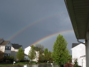 Rainbows 1