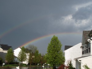 Rainbows 2