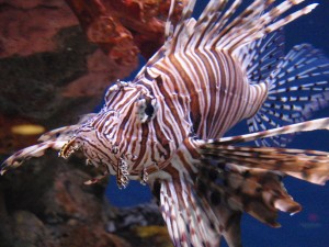 P5230086