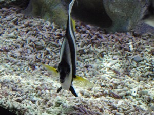 P5230092