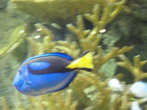 P5230099