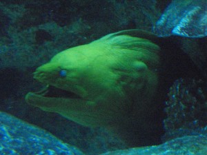 P5230114