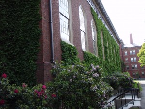 P5230278