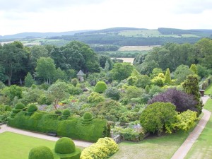 dsc00535