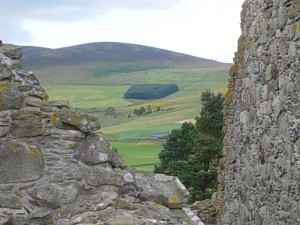 dsc00561
