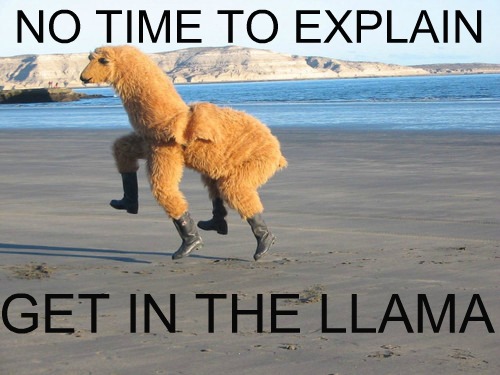 notimetoexplain